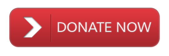 Gujarat Flood Donation