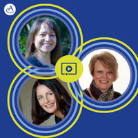 Art of Team Coaching Supervision