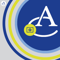 Excellence in Coaching in Organizations