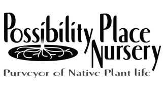 Possibility Place Nursery