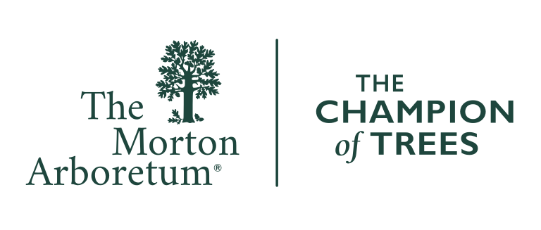 The Morton Arboretum