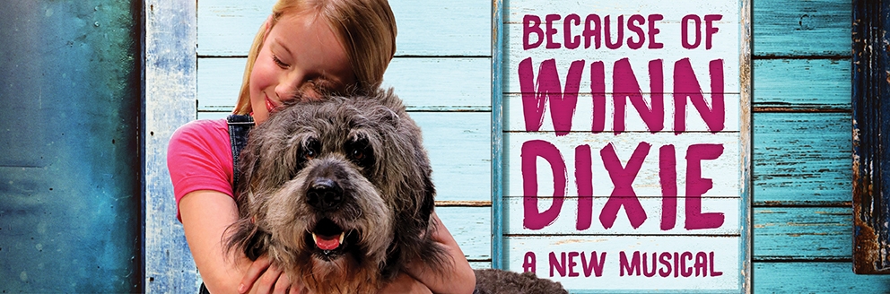 Winn Dixie banner