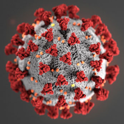 Coronavirus